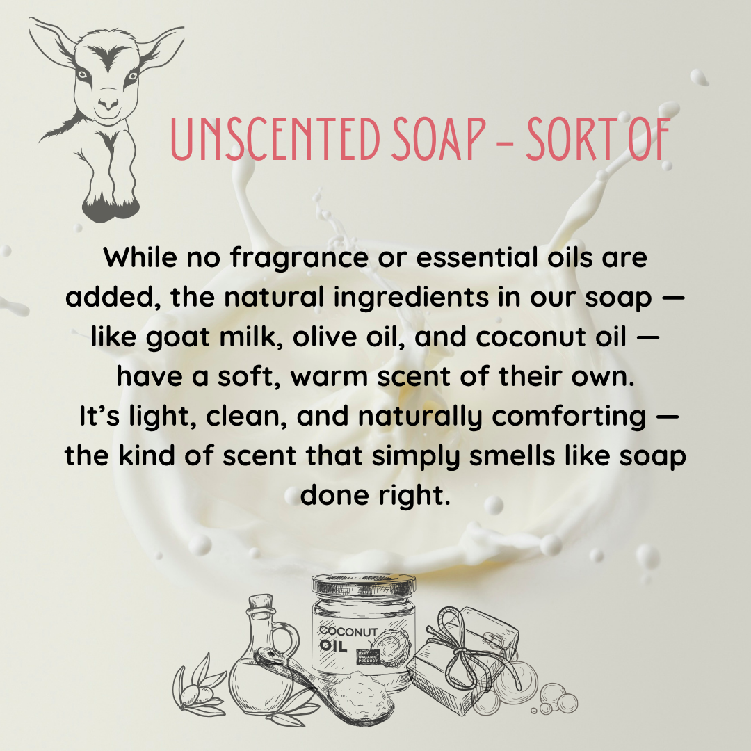 🧽 Loofah Soap on a Rope — Handcrafted Goat Milk Soap - Unscented